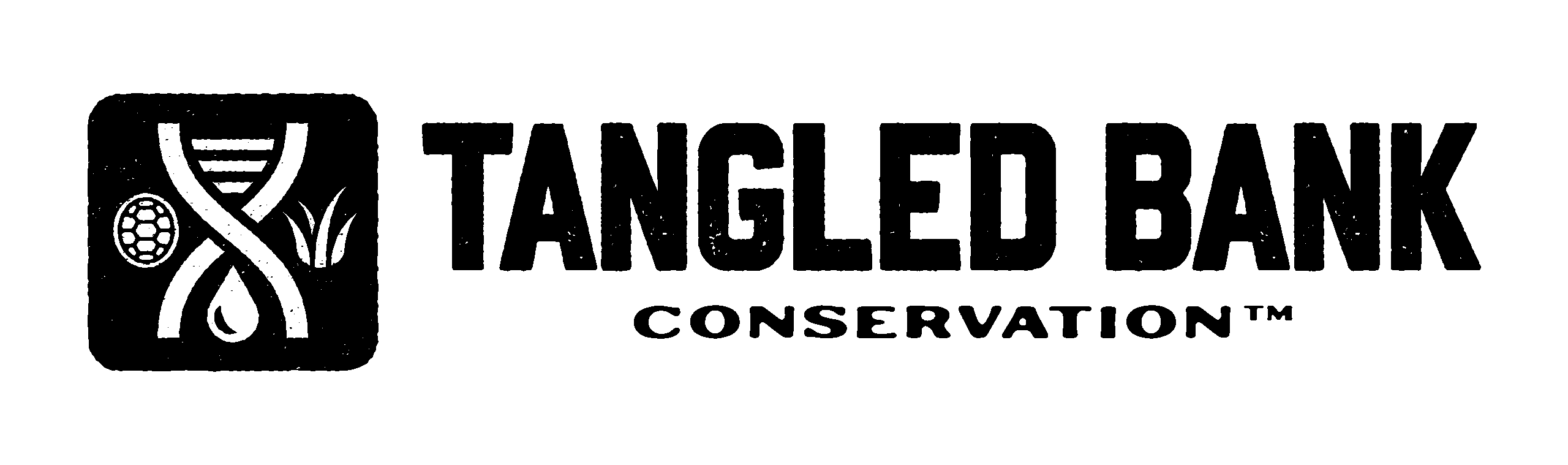 LogoStandard_Black_240129_TangledBank.83ae87bd