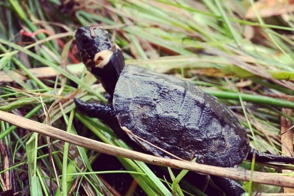 5CDDEF9C-E392-456B-940F-EF518363CCF0