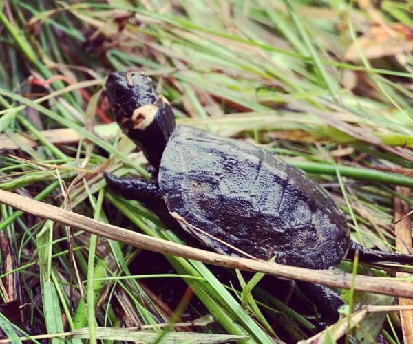 5CDDEF9C-E392-456B-940F-EF518363CCF0