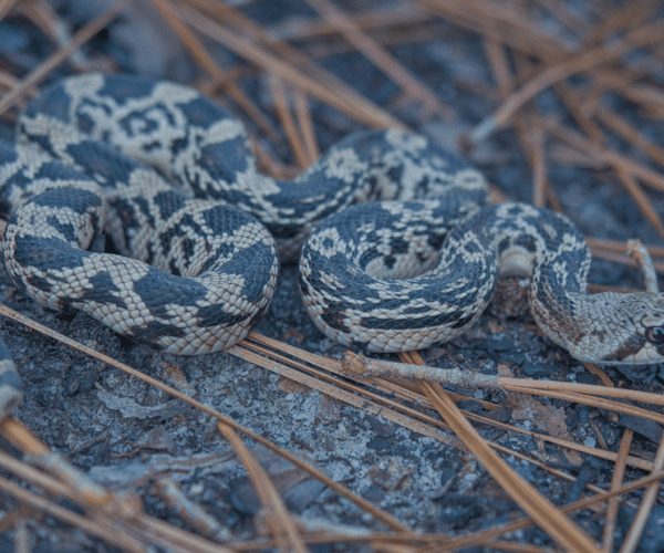 Screen-Shot-2022-09-27-at-12.00.28-PM_2023-10-20-115143_ttnq_2023-10-20-120753_xikm