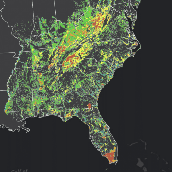 Screenshot-2024-02-07-at-8.33.39-AM